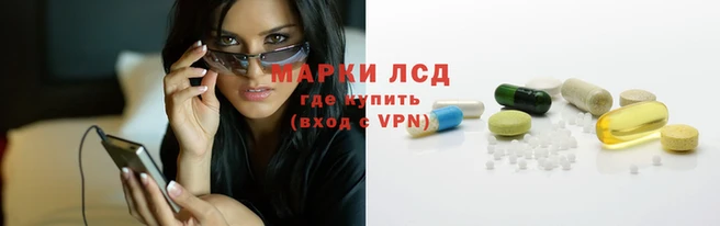 гидра Майский