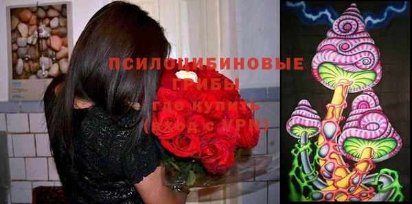 гидра Майский