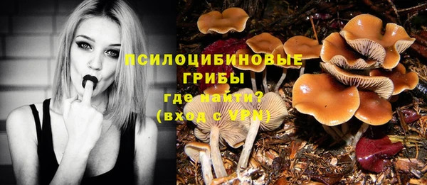 прущая мука Магас