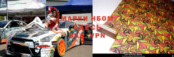 гидра Майский