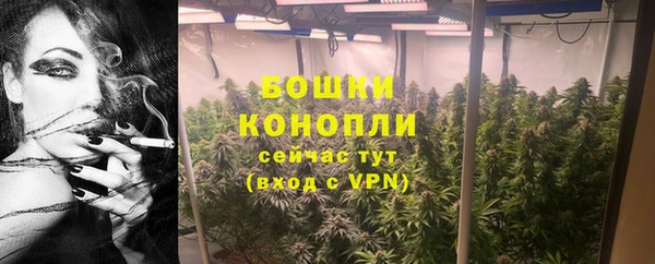 гидра Майский