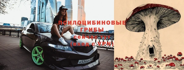 гидра Майский