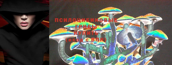 гидра Майский