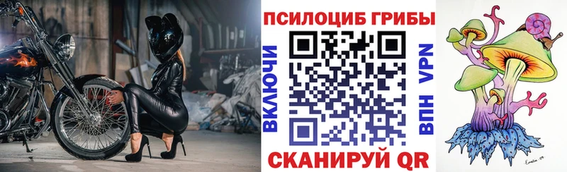Псилоцибиновые грибы Psilocybe  shop формула  Тихорецк 