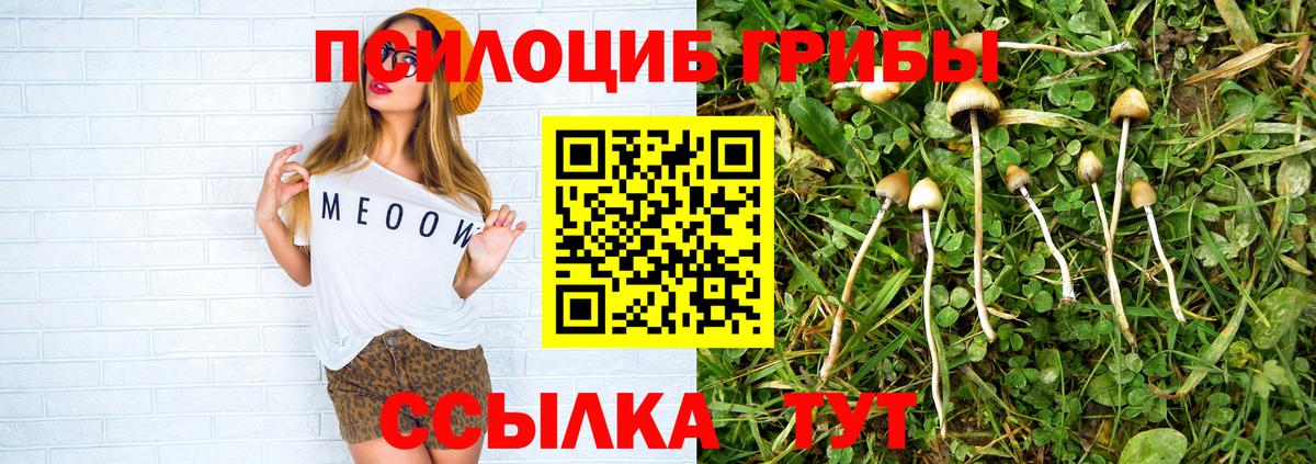 Псилоцибиновые грибы MAGIC MUSHROOMS Тихорецк
