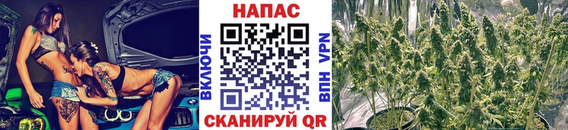 сайты даркнета телеграм  Тихорецк  Канабис гибрид  hydra ТОР 